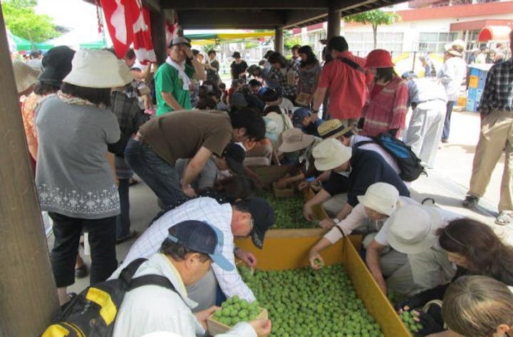 【中止】第22回うめ〜梅まつりinかくだ