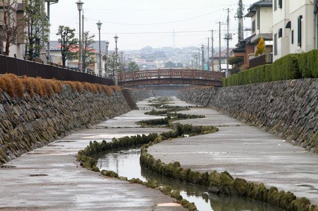 スポットの写真