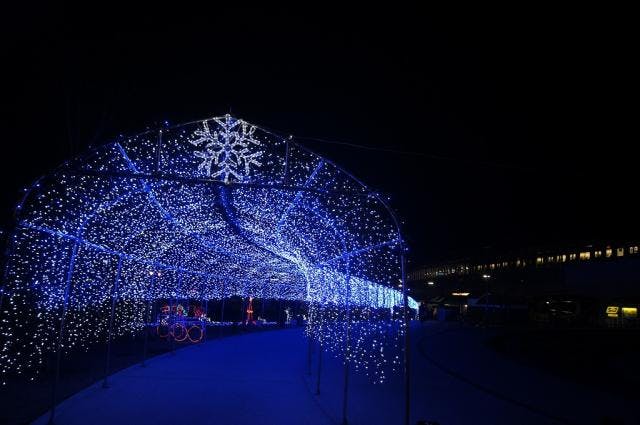 スポットの写真