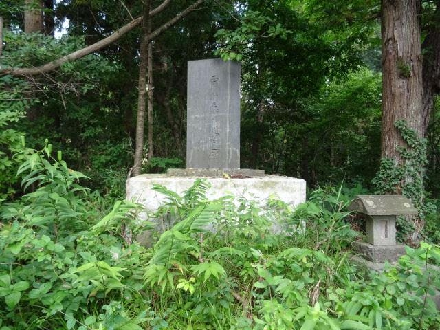 スポットの写真