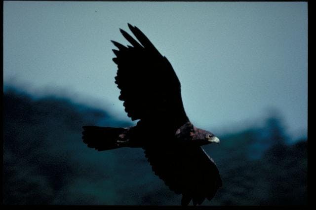 スポットの写真