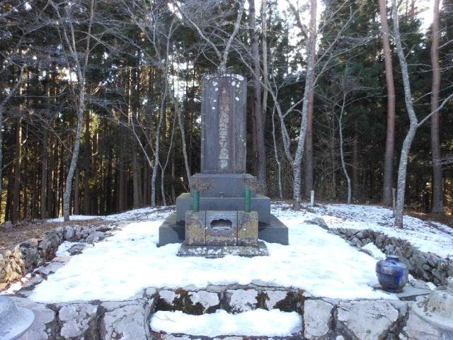 スポットの写真