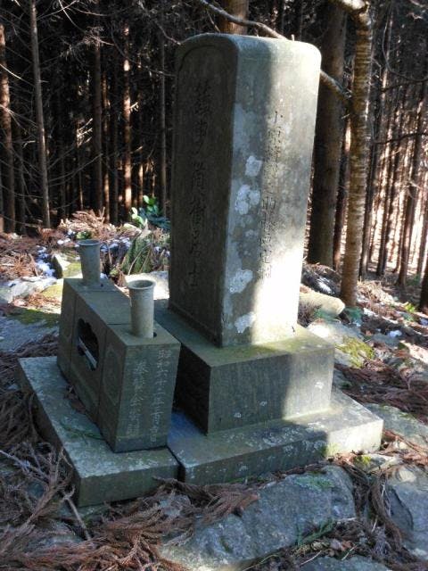 スポットの写真