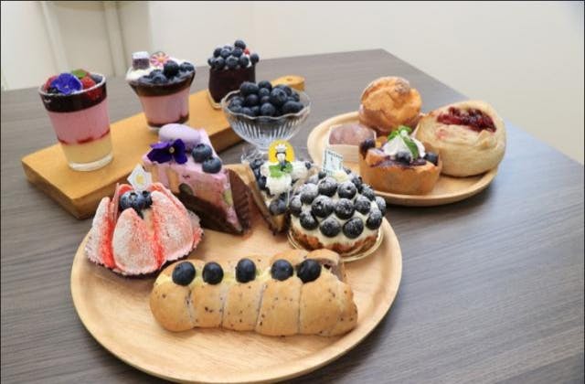 スポットの写真