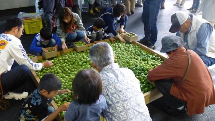 【中止】おおがわら梅まつり