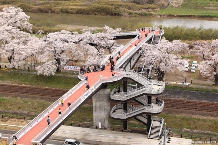 しばた千桜橋