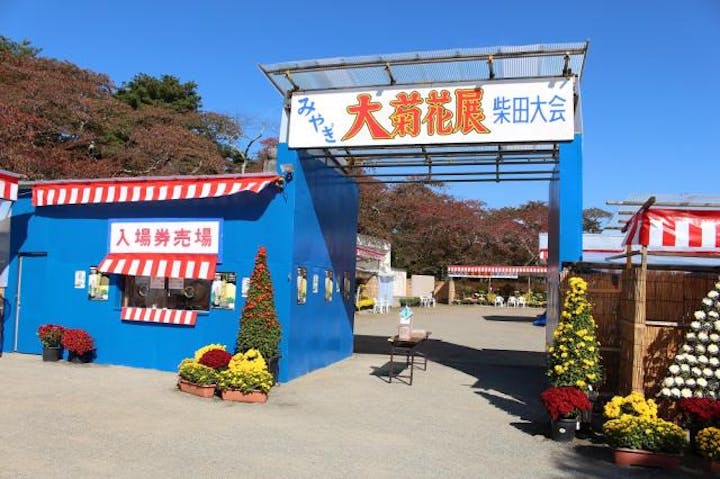 みやぎ大菊花展柴田大会