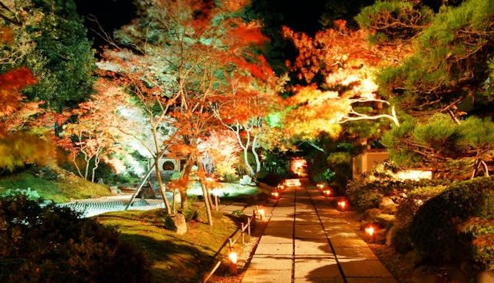 【2020年中止】松島紅葉ライトアップ