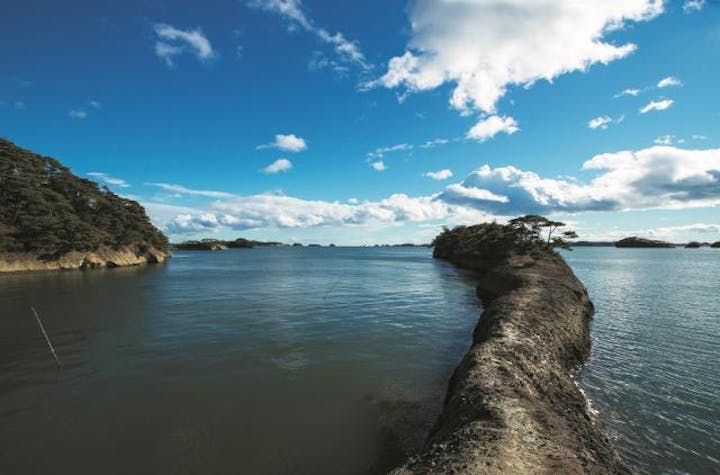 馬の背（特別名勝松島）