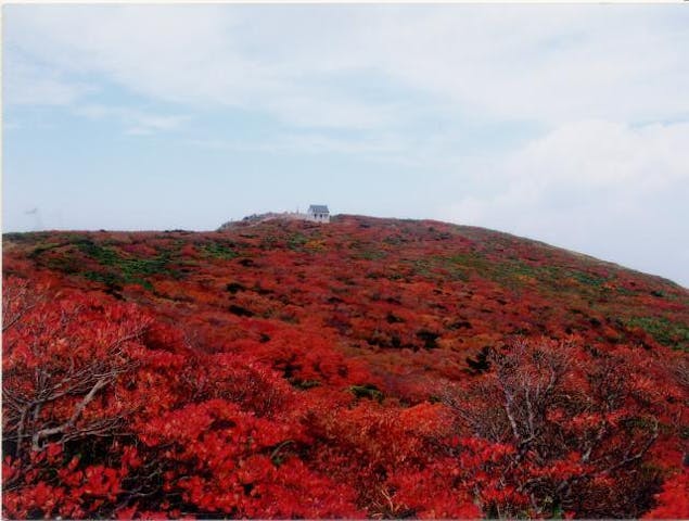 船形山の紅葉と高山植物