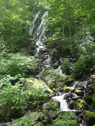 升沢自然遊歩道