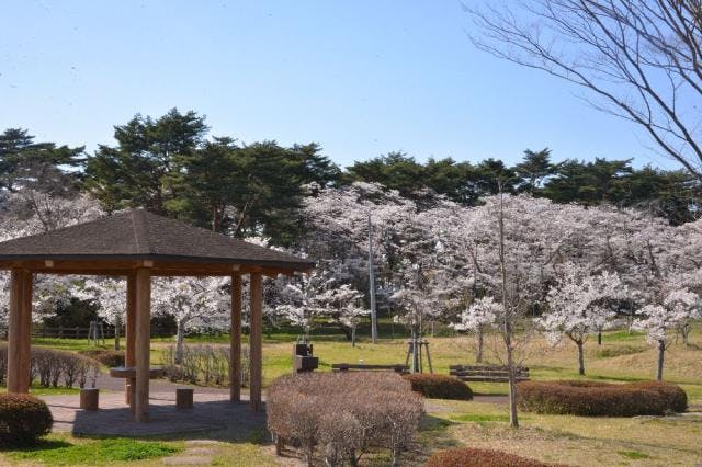 スポットの写真