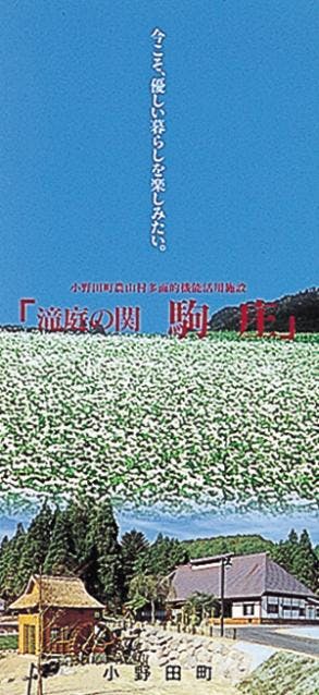 スポットの写真