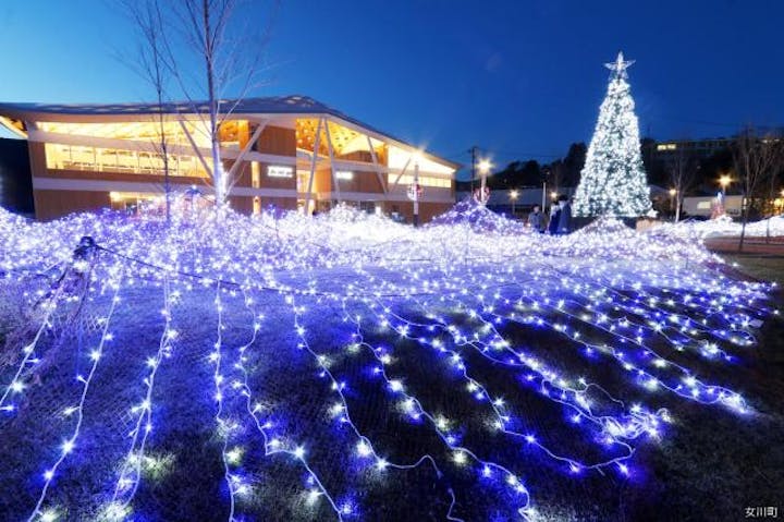 スターダスト・ページェント2020海ぼたる