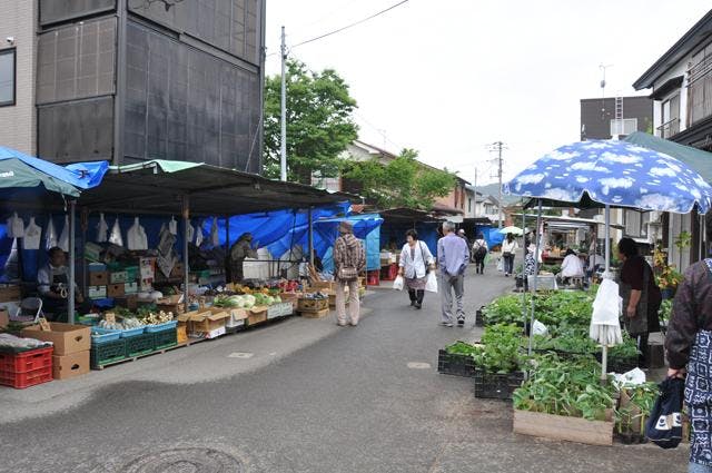 スポットの写真