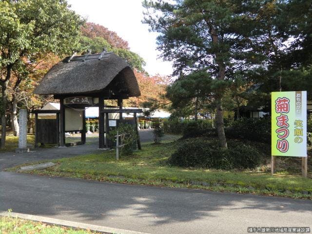 笑顔の菊まつり