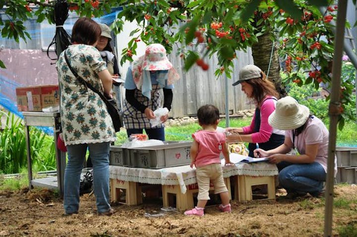 十文字さくらんぼまつり　