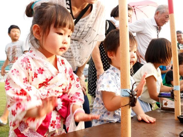 大雄サマーフェスティバル　＜中止となりました＞