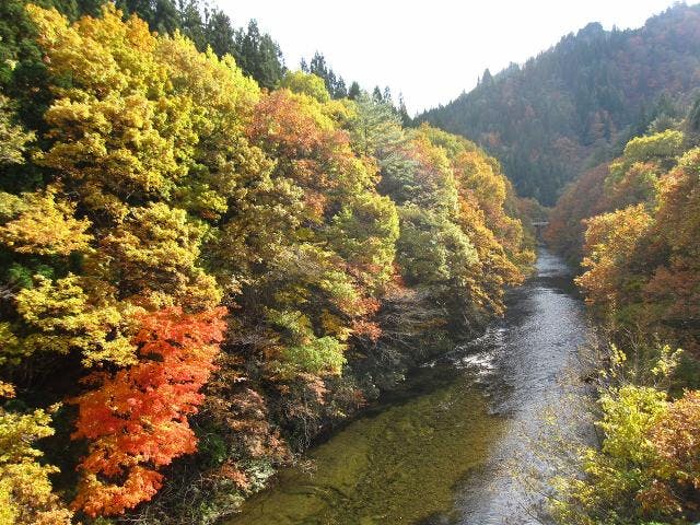 長木渓流遊歩道