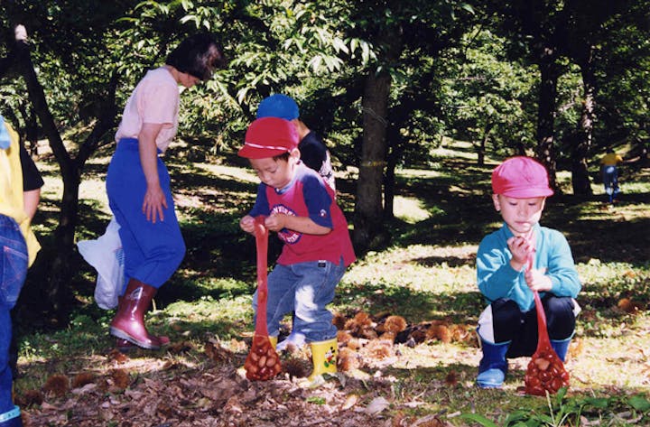 湯沢市観光栗園