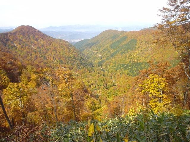皮投岳・五ノ宮嶽登山コース