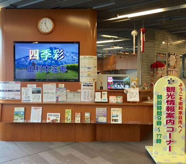 スポットの写真