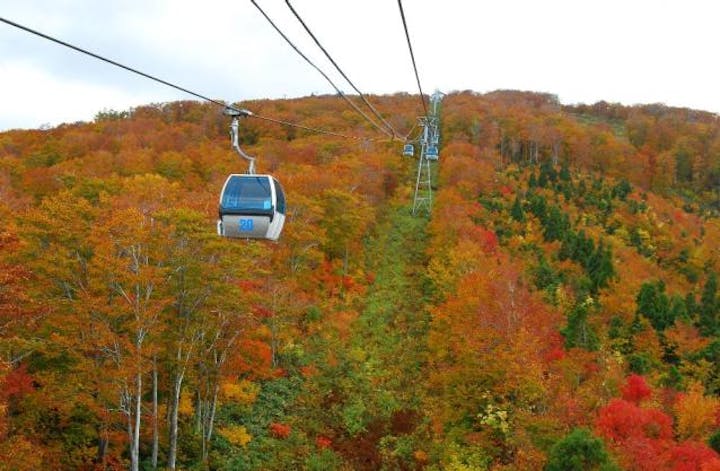 森吉山　ゴンドラ山歩