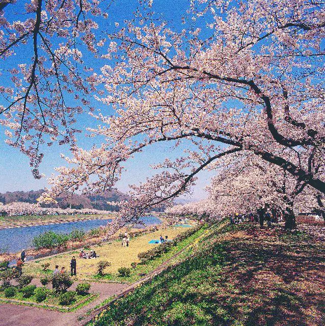 スポットの写真