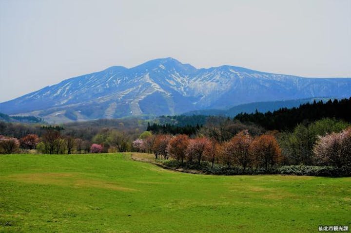 サボーカルチャーパーク