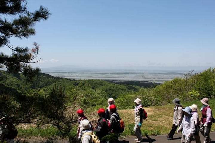 琴丘稜線ハイキングコース