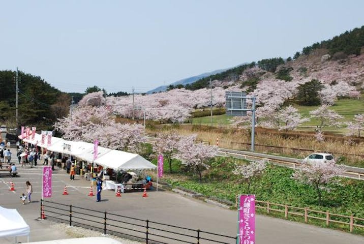 八峰町さくらまつり