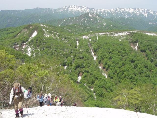 白神山地〜二ツ森登山〜ミネザクラを見よう〜