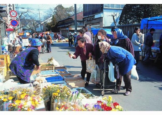 五城目朝市　きのこまつり