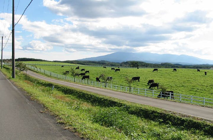 ゆり高原ふれあい農場