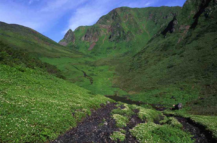 秋田駒ヶ岳高山植物帯