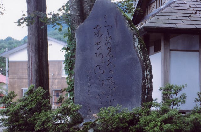 スポットの写真