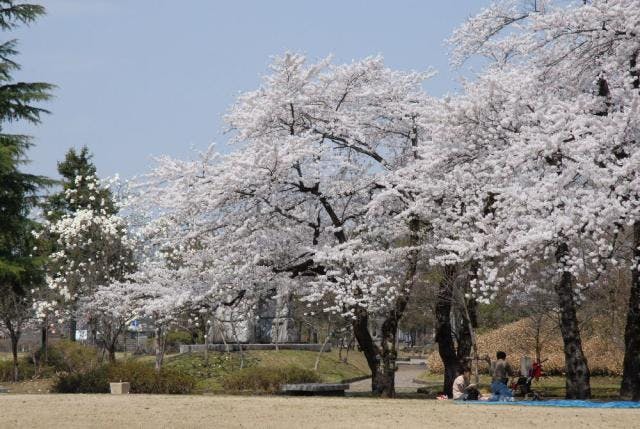 スポットの写真