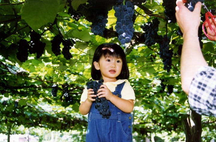 長瀞観光ぶどう園