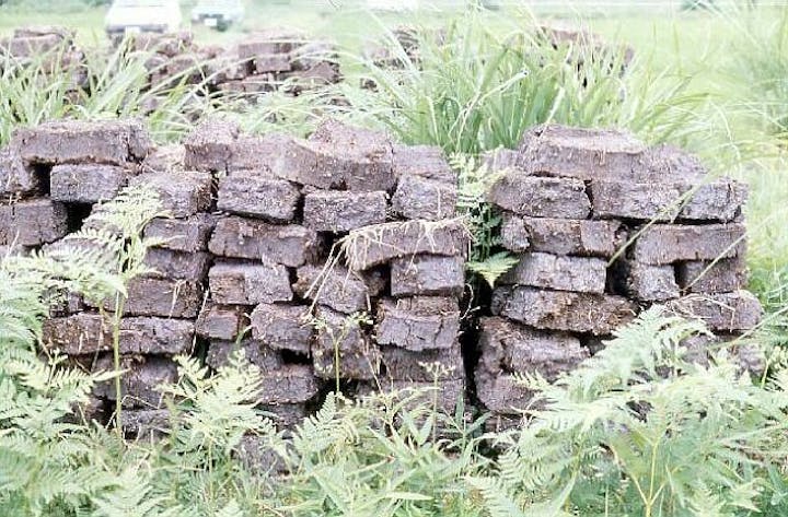 田村根っ子（泥炭）