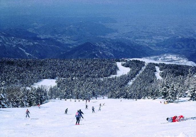天元台高原スキー場