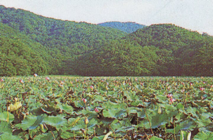 大山上池・大山下池