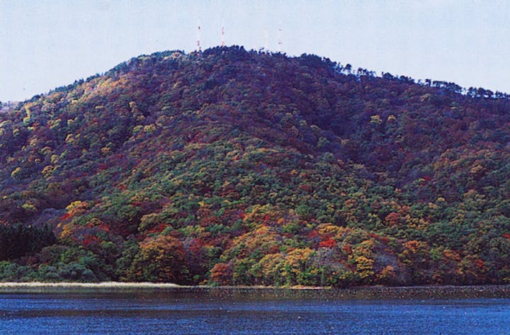 高館山の紅葉 アソビュー