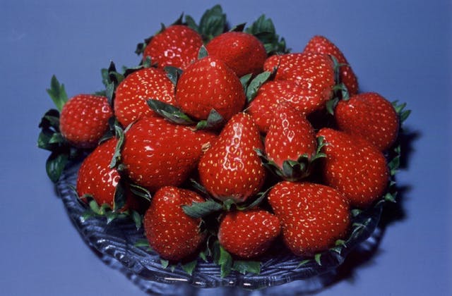 スポットの写真