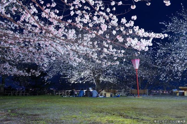 【2021年イベント開催なし】寒河江桜まつり