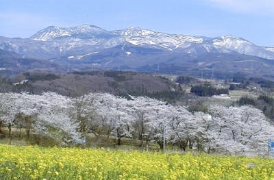 プラン画像