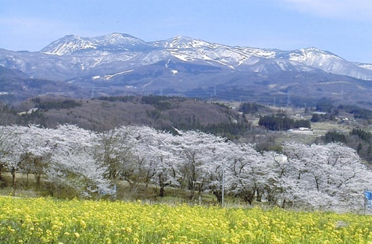 プラン画像