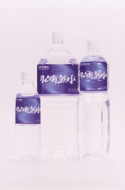 スポットの写真