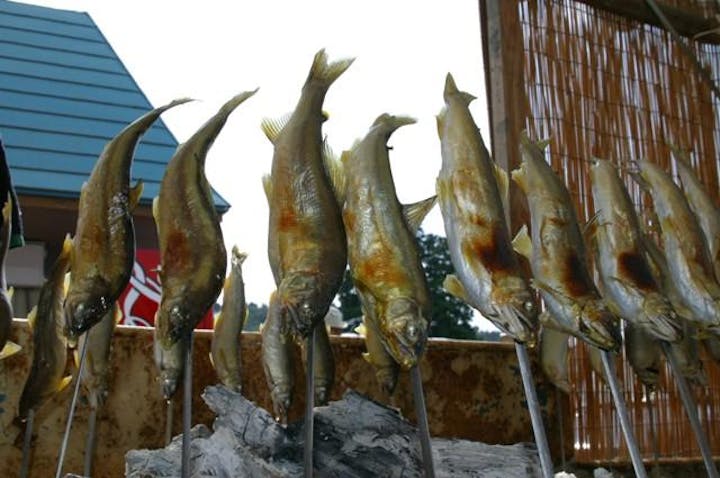 【2021年中止】ふながた若鮎まつり