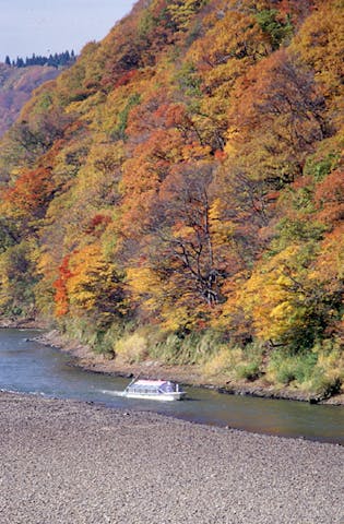最上峡の紅葉