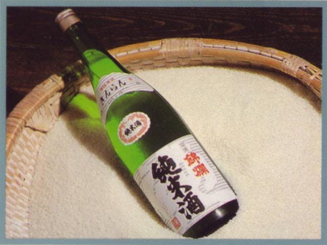 スポットの写真